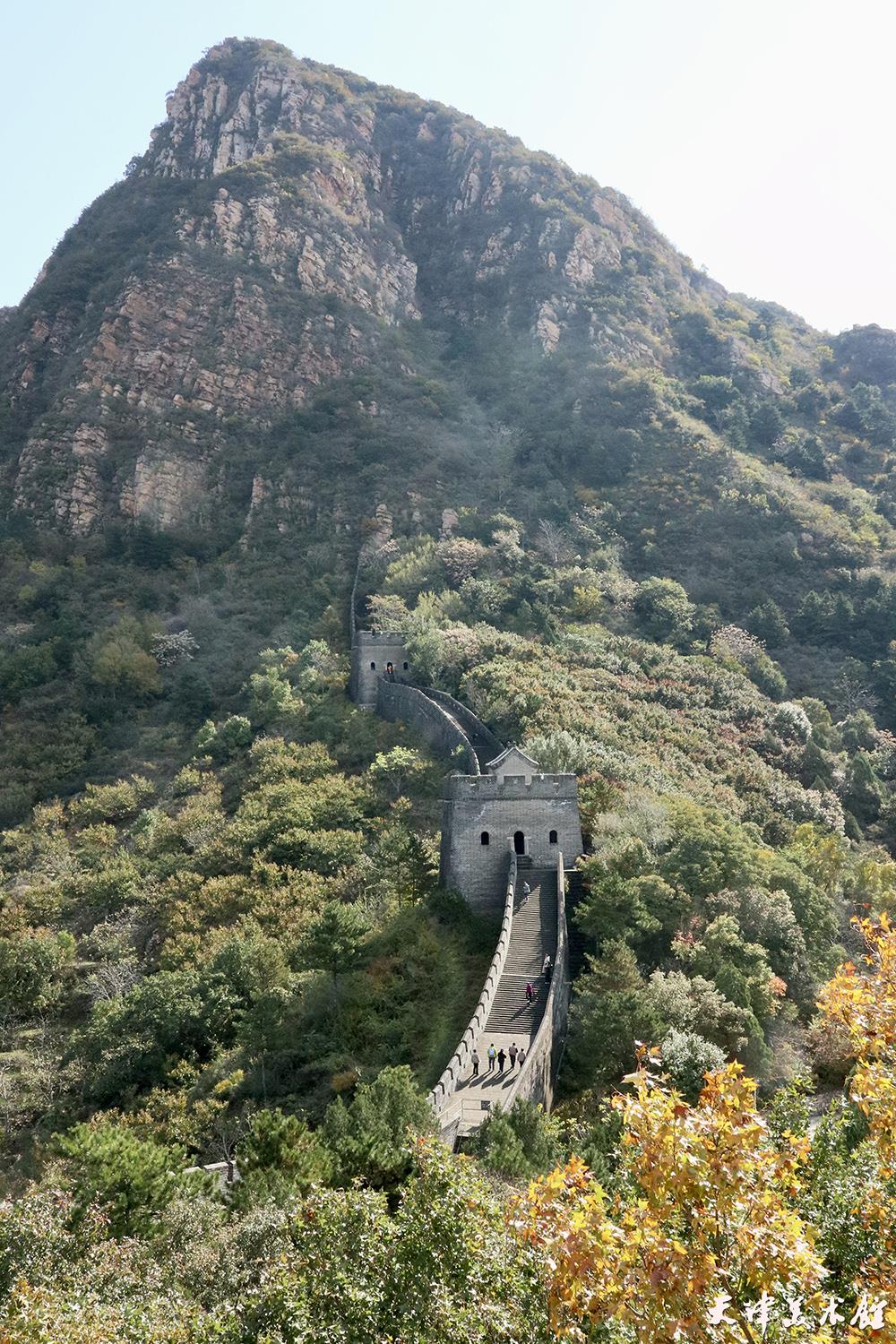 2025-10-18 105202.jpg 2025-10-18 105202.jpg